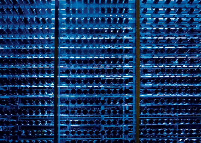 Secrets The Vine Cancun (Adults Only), Messico