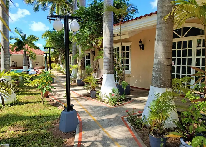 Tulipanes Cancún, México